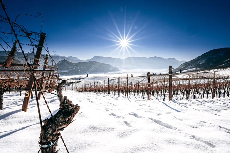 Foto del Lago di Caldaro da un piccolo molo in legno