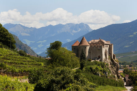 Uitzicht op het kasteel Schloss Kastelbell te midden van de wijngaarden