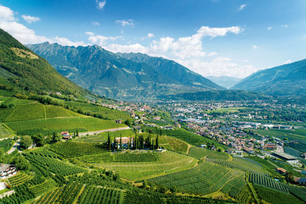 Zicht vanuit Marling op groene bergen, wijngaarden en de stad Meran/Merano