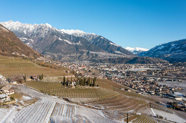 View from Marling of green mountains, vineyards and the town of Meran.