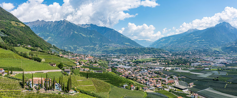 Blick von Marling auf grüne Berge, Weinhänge und die Stadt Meran