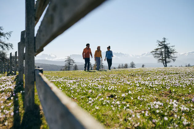 Drie personen lopen over een veld in de lente