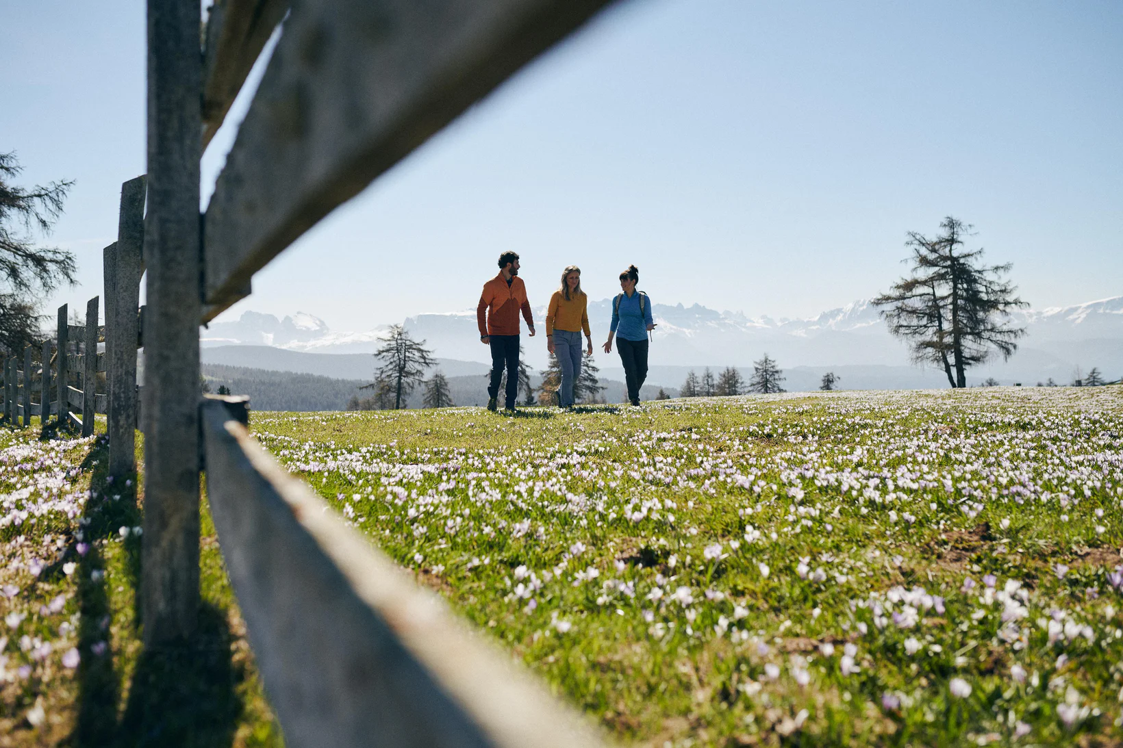 Tre persone passeggiano su un prato pieno di fiori bianchi e rosa in primavera con alle spalle un panorama montuoso sconfinato