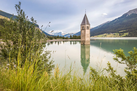 Vista sul lago di Resia con il campanile sommerso, sullo sfondo le cime innevate