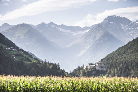 In primo piano a sinsistra vista sui masi situati sui ripidi pendii di Campo Tures e a destra il bosco e Castel Tures. Sullo sfondo le imposanti montagne in parte innevate..