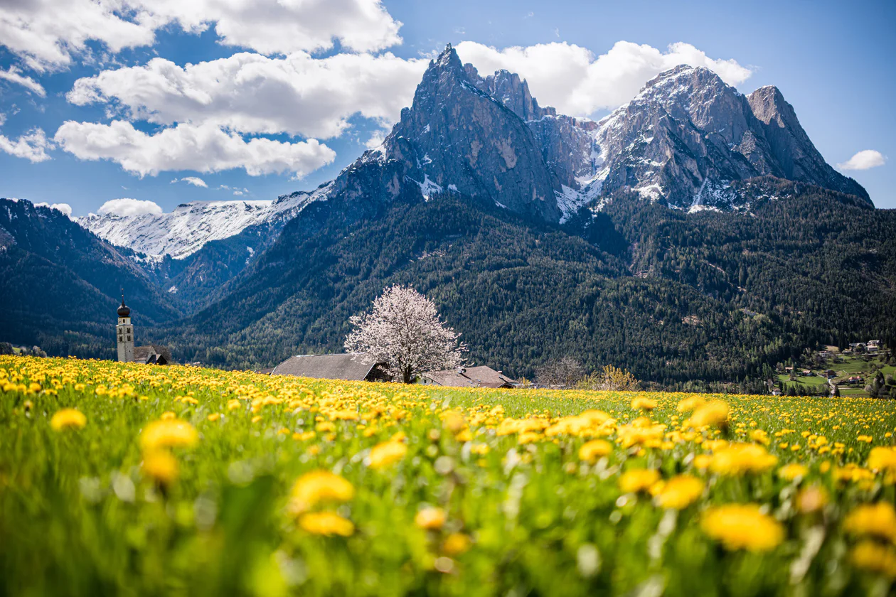 Seis am Schlern/Siusi allo Sciliar
