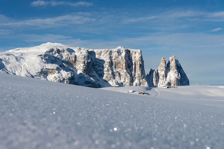 Vista panoramica su un prato di montagna circondato da maestose cime dolomitiche sull'Alpe di Siusi