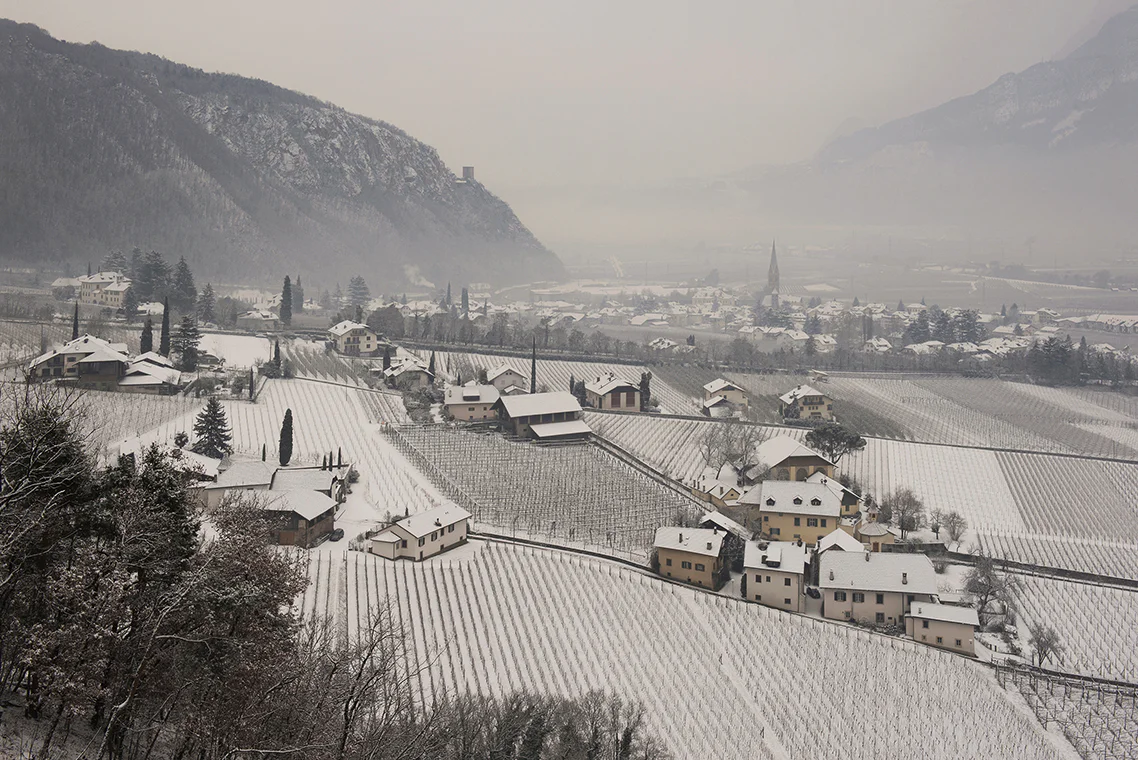 Vista aerea sui vigneti che circondano Terlano e il campanile del paese in secondo piano