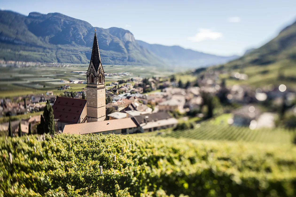 Tramin/Termeno