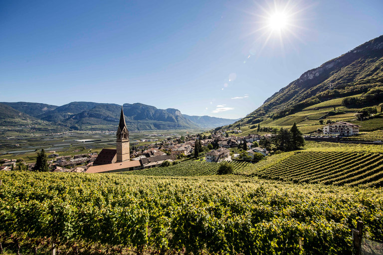 Tramin 