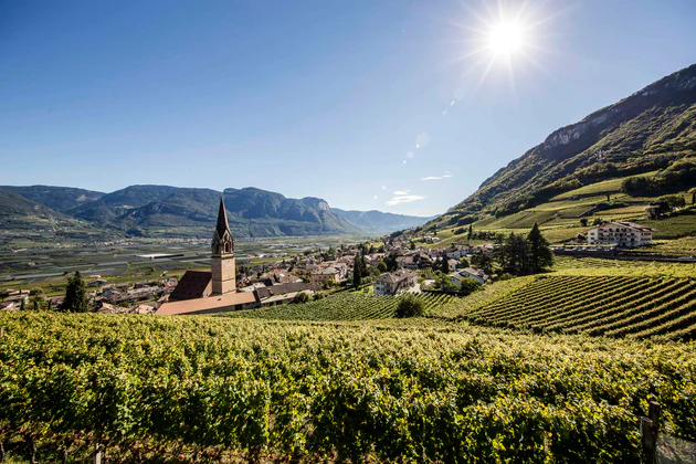 Panoramic view over Tramin/Termeno from the vineyards right above the town center