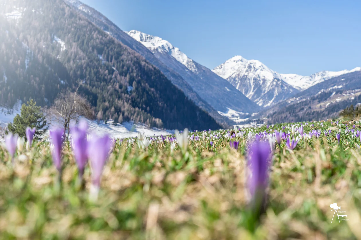 Un uomo aiuta una donna ad oltrepassare un piccolo torrente in montagna durante una camminata