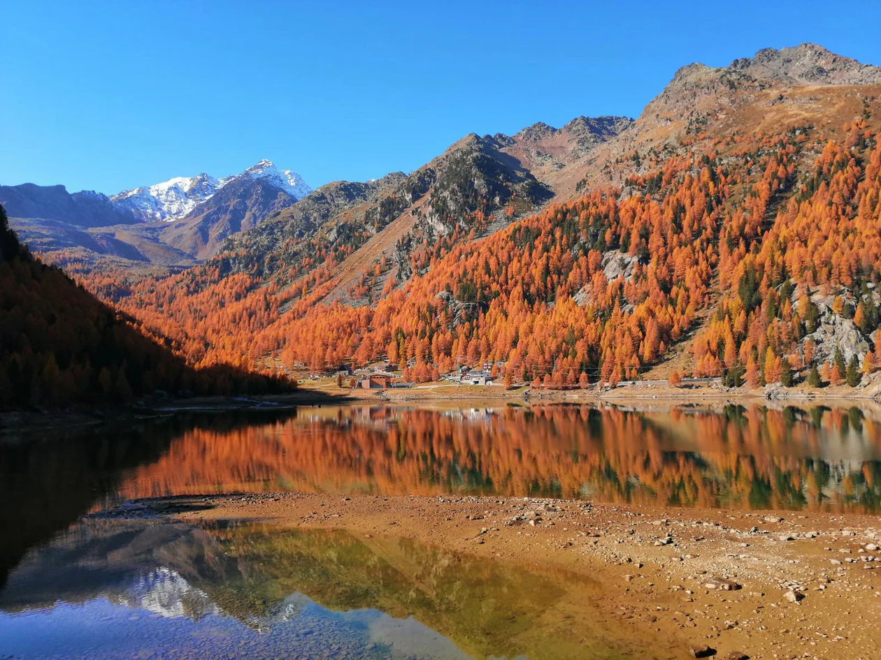 Ultental