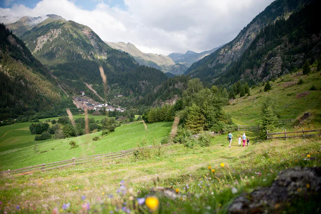 Vier Personen wandern in Sterzing und Umgebung