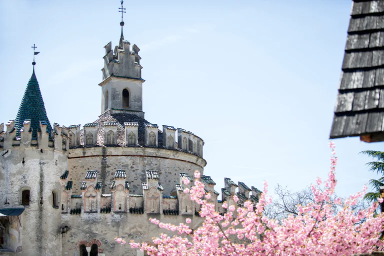 Roze bloesems voor de zogenaamde Engelsburg van het klooster Neustift bij Brixen in de lente. 
