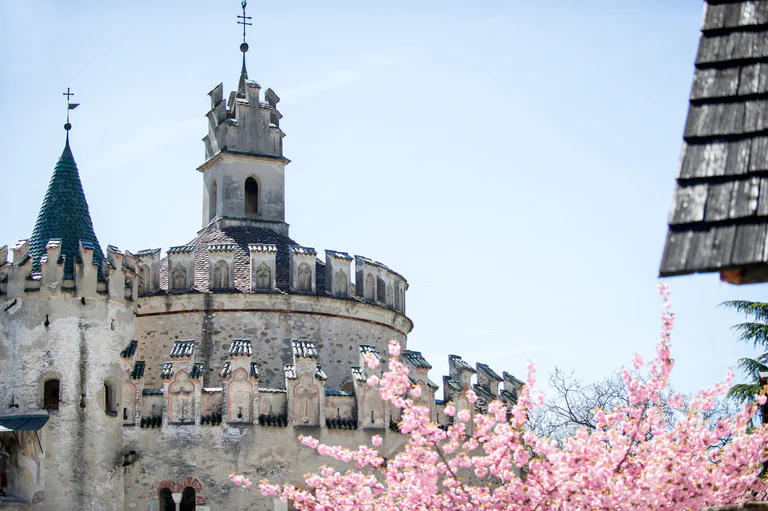 Wiosenne różowe kwiaty przed tzw. „anielską twierdzą” (Engelsburg), przy klasztorze Neustift w Brixen. 