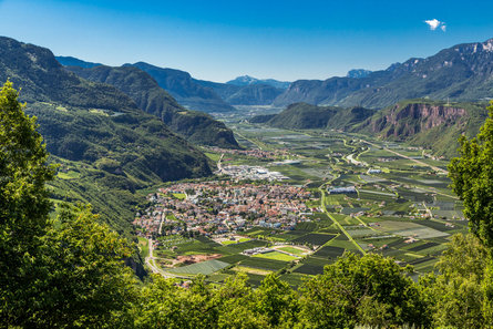 Vista panoramica su Laives circondata da campi coltivati e vigneti verdeggianti