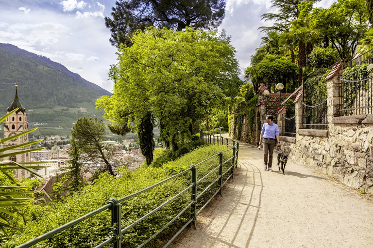 A man walks his dog on a path above the old town of Meran.