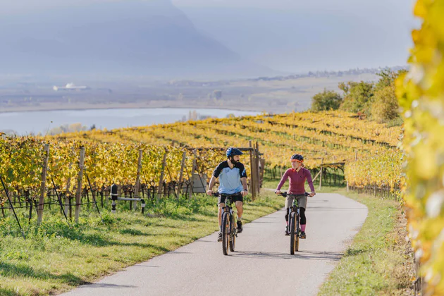 Radfahren an der Südtiroler Weinstraße