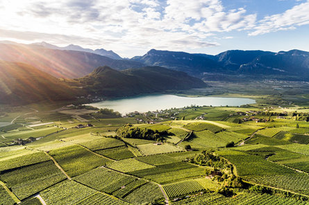 View from above on the Kalterer See lake in summer.