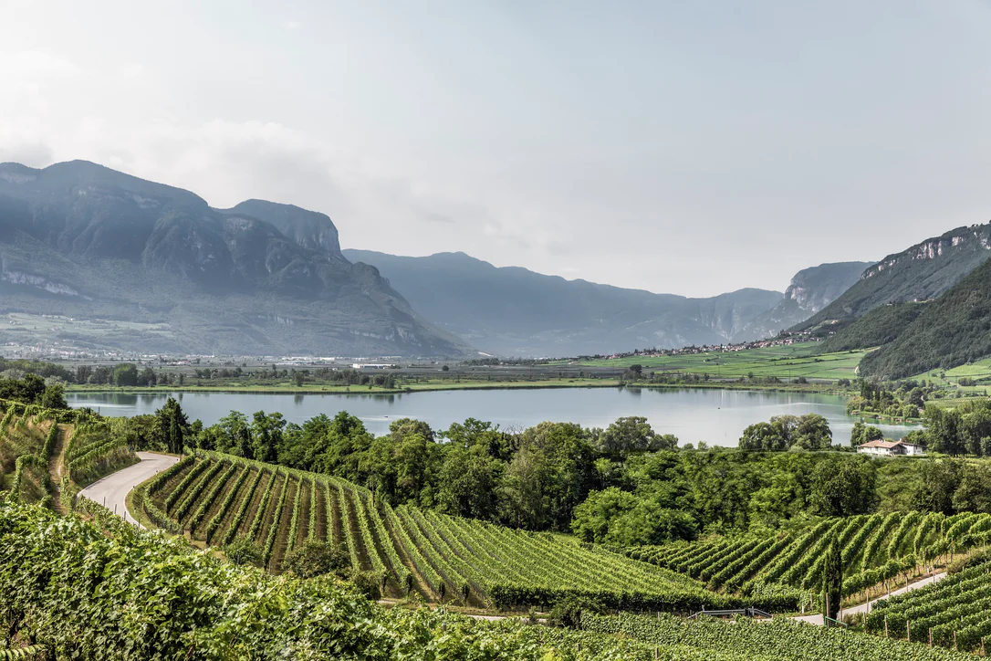 View of the South Tyrolean Wine Road surrounded by mountains, trees and green vineyards.
