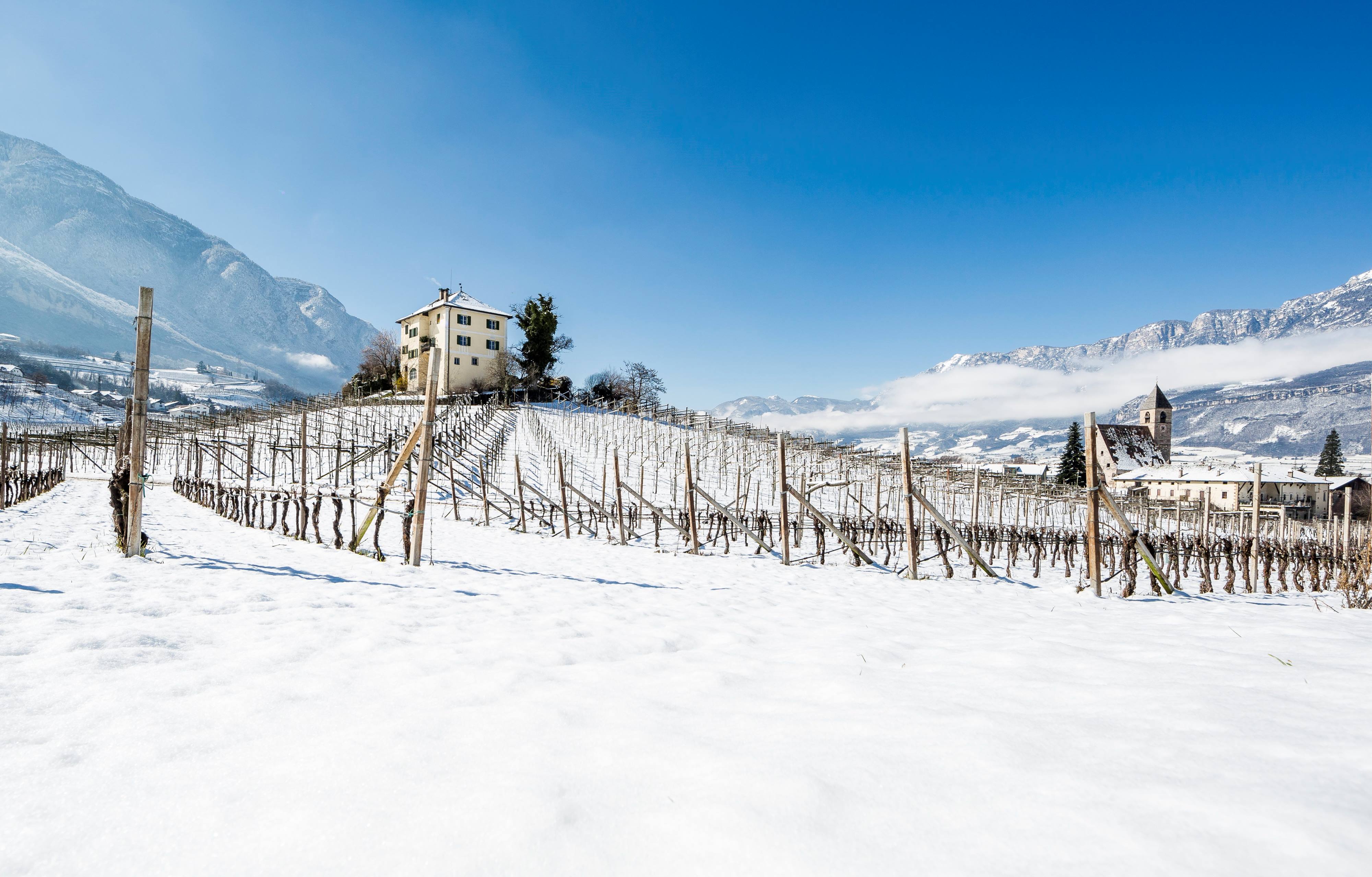 Südtiroler Weinstraße im Winter