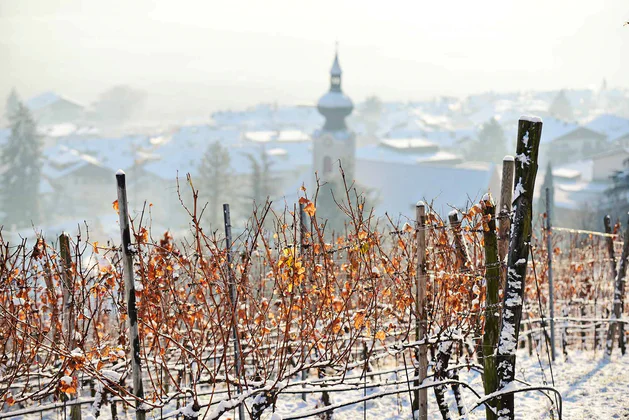 Südtiroler Weinstraße