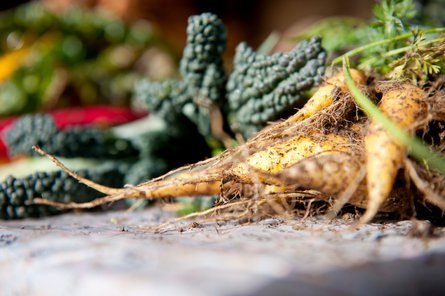 Carrots and other vegetables from farmer Harald Gasser.