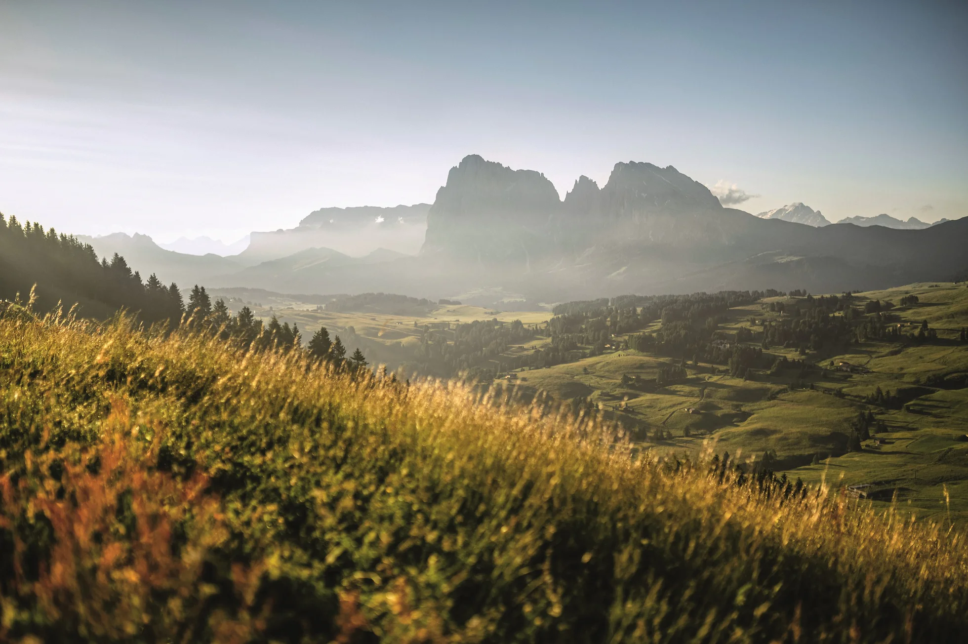 A valley with a mountain lit by the sun in the background