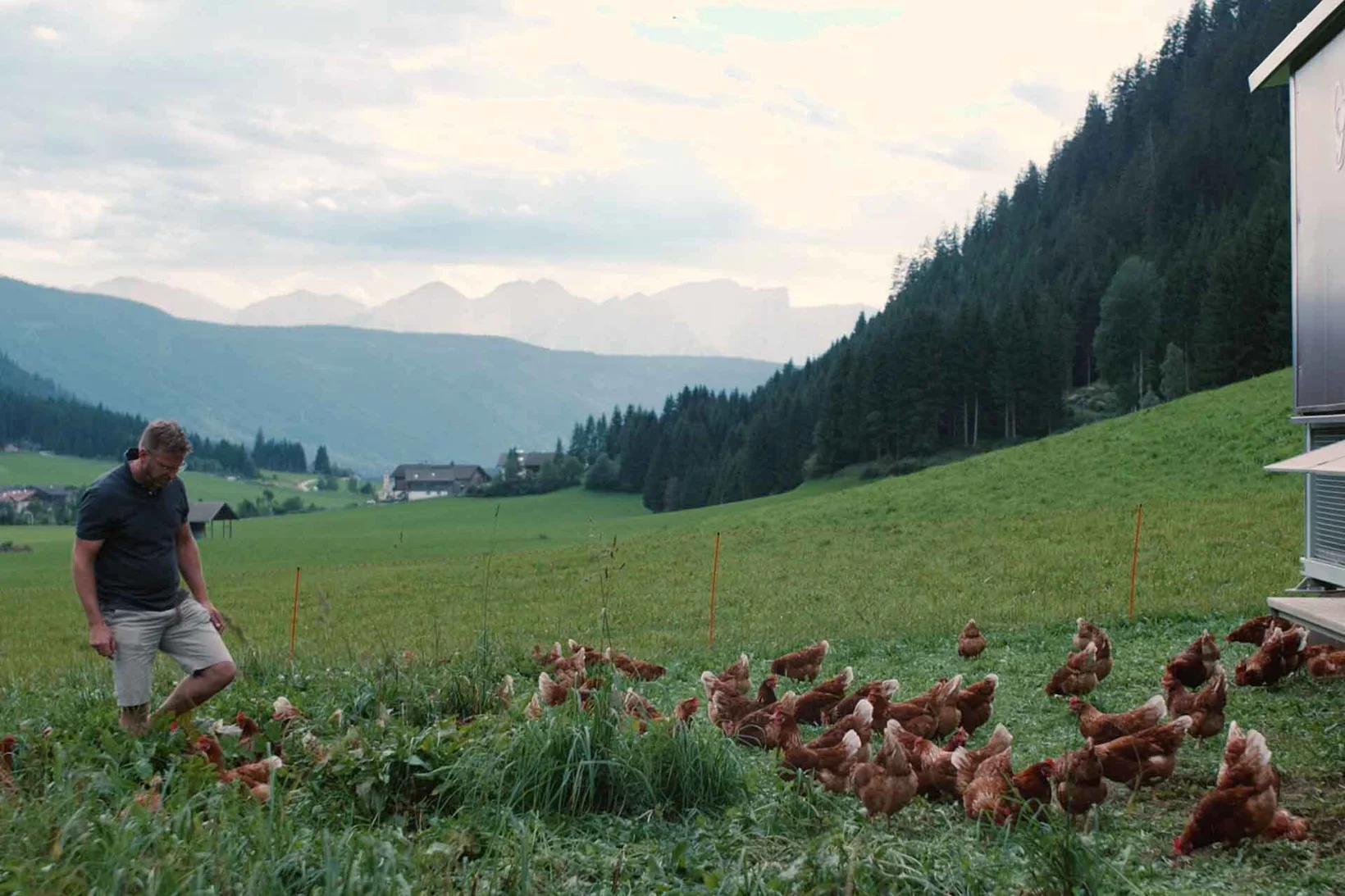 Klaus Kargruber si prende cura delle sue galline insieme alla sua famiglia e produce uova di alta qualità con Marchio di Qualità Alto Adige.