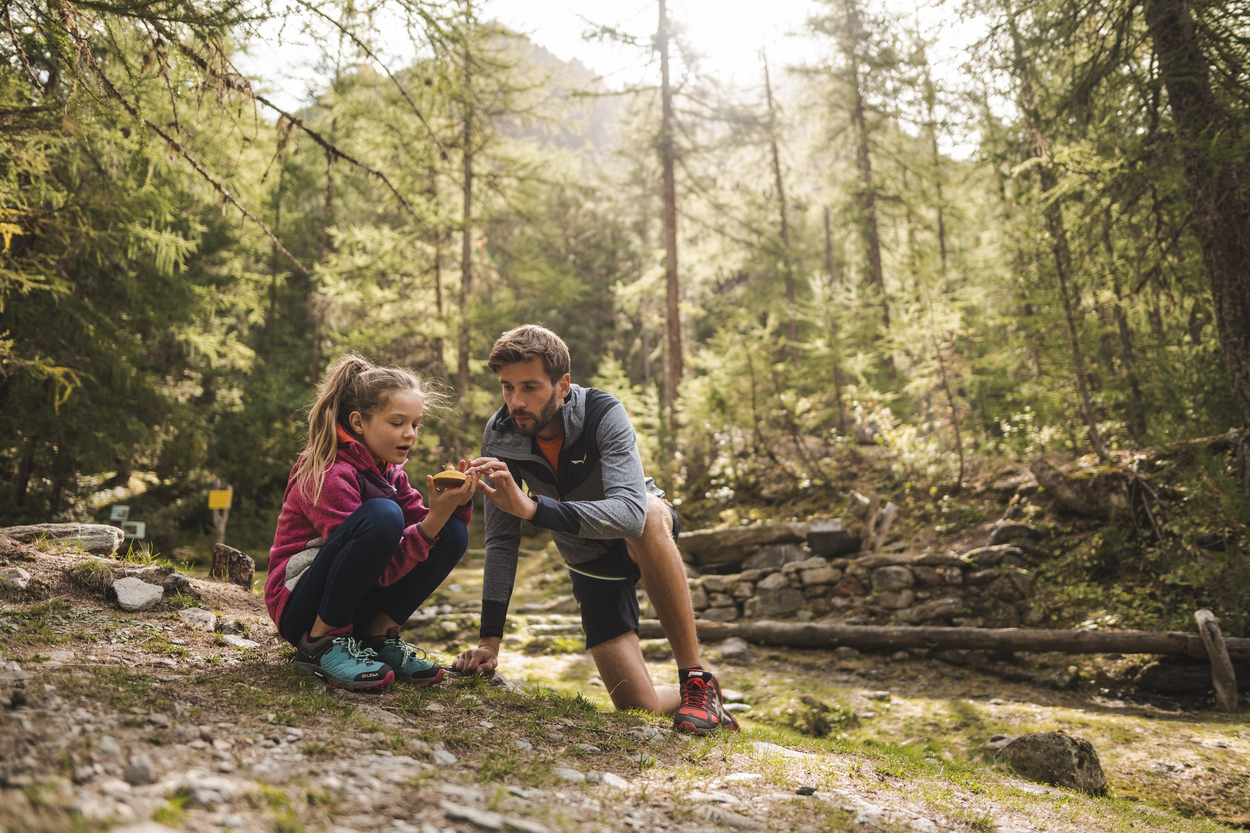 Natur in Südtirol