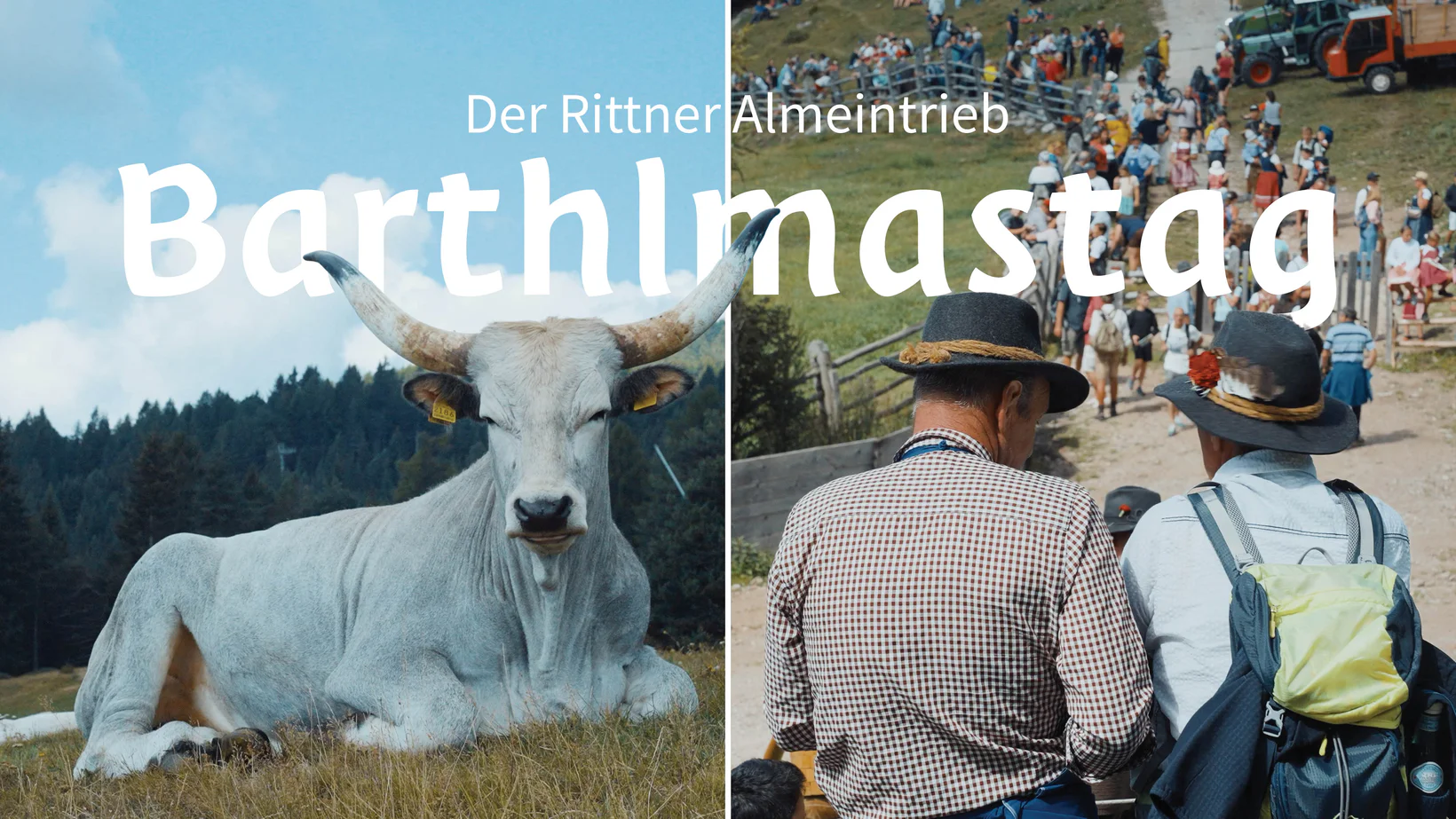 Barthlmastag am Ritten