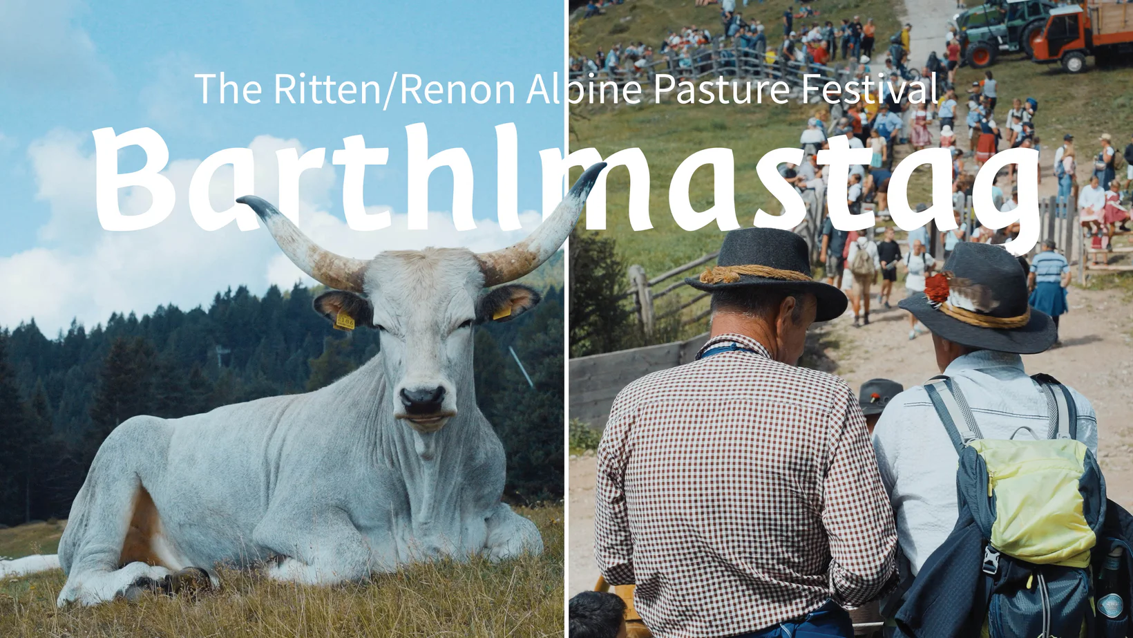 Barthlmastag Ritten/Renon