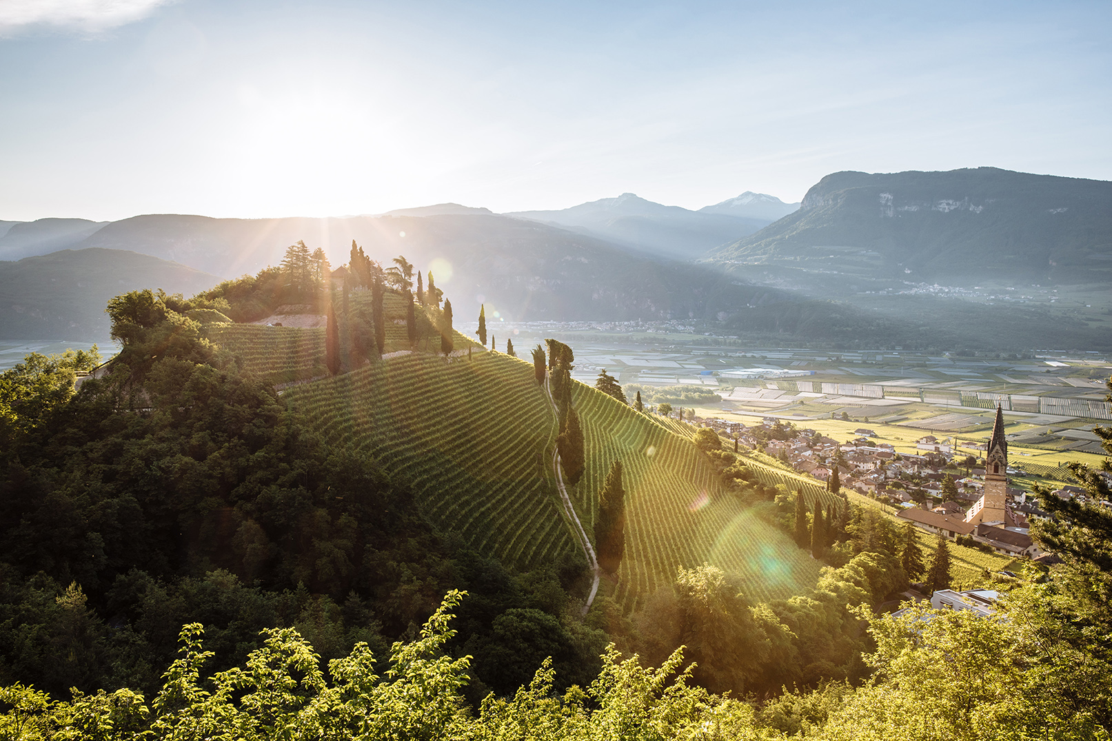 Alto Adige Wine Road