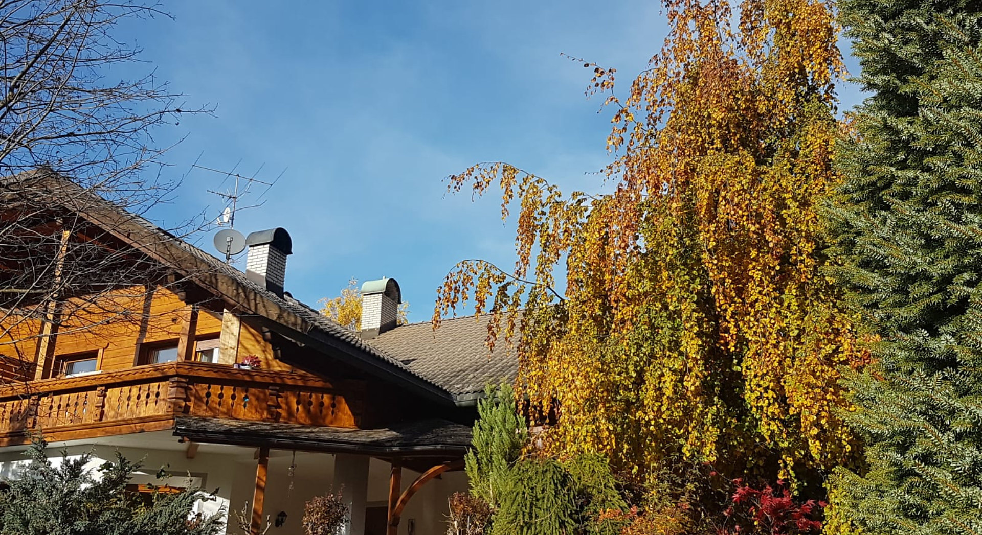 Apartments Pelegrin 15