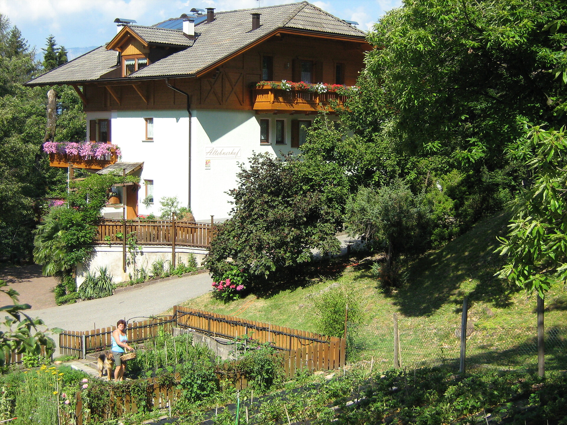 Altebner Farm - Bolzano/Bozen and environs - #1 - suedtirol.info