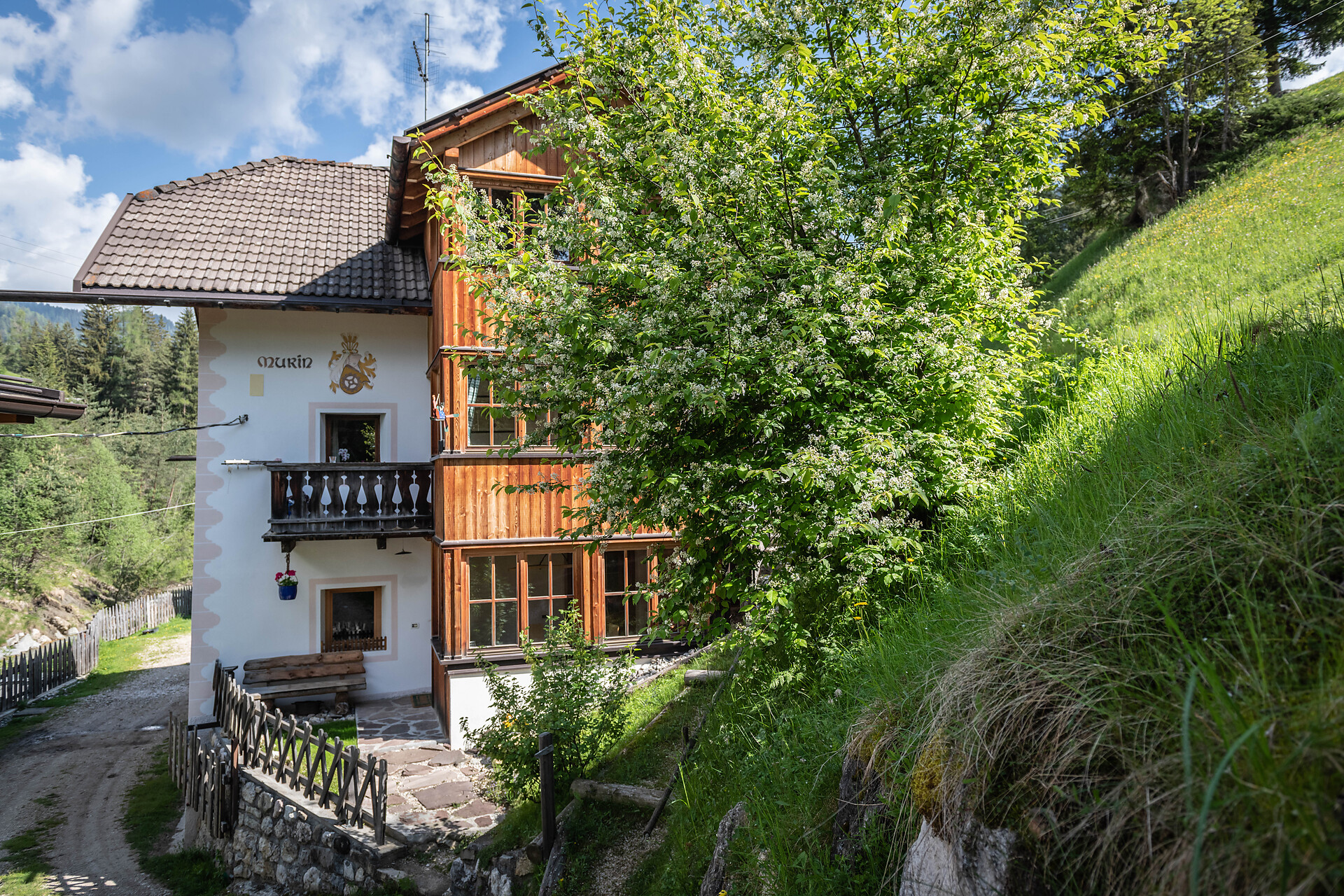 Lüch da Murin