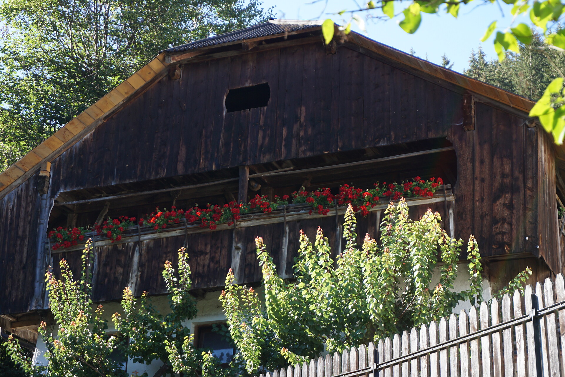 Lüch da Morgnun