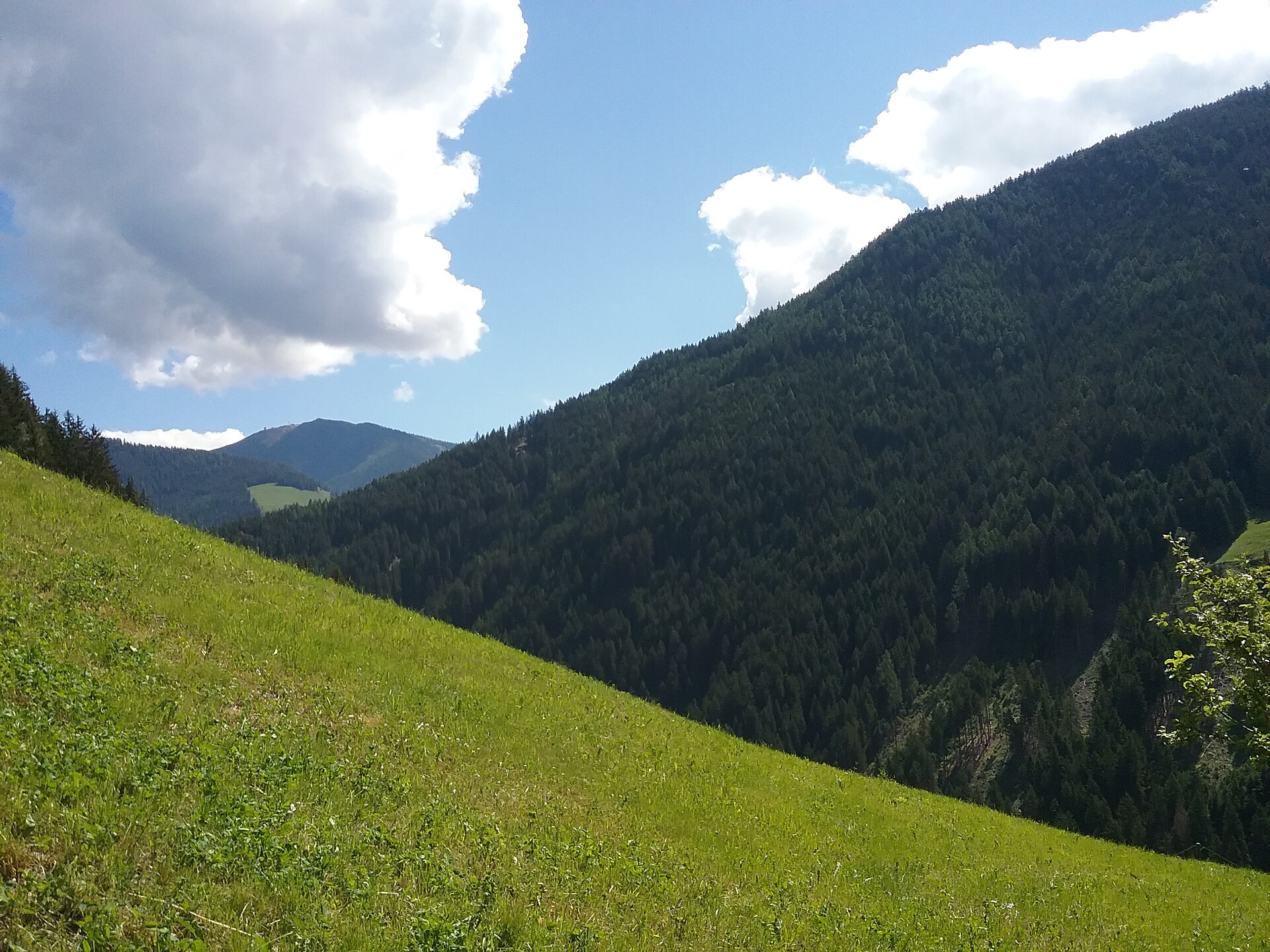 Lüch da Morgnun