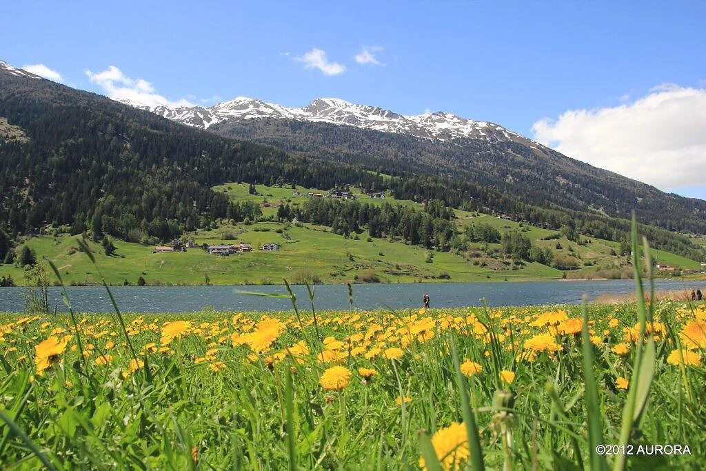 Villa Mayr Curon Venosta 6 suedtirol.info