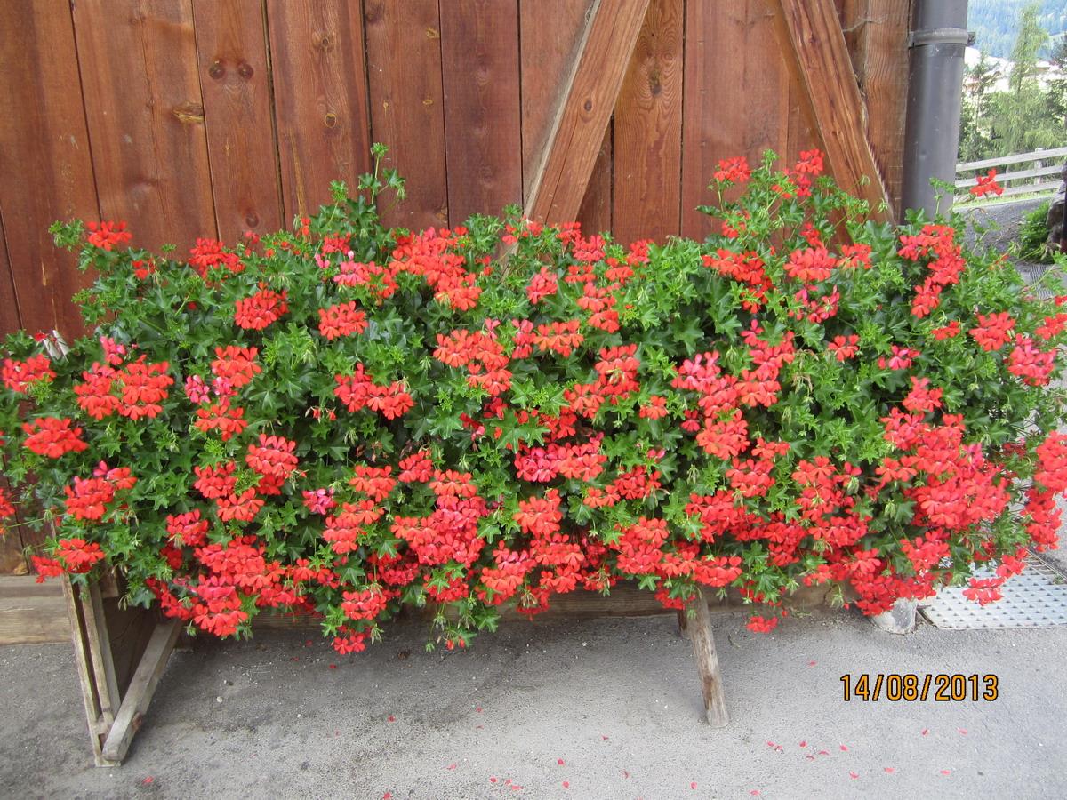 Apartments Ciasa Fordí - Bauernhof San Vigilio 12 suedtirol.info
