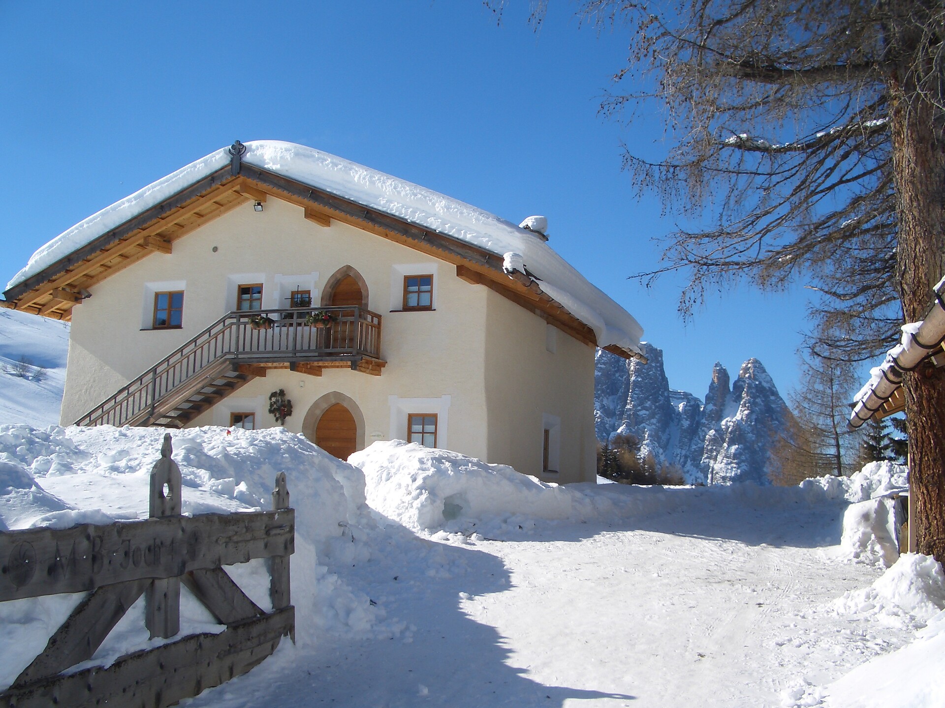 App. Bernard in winter