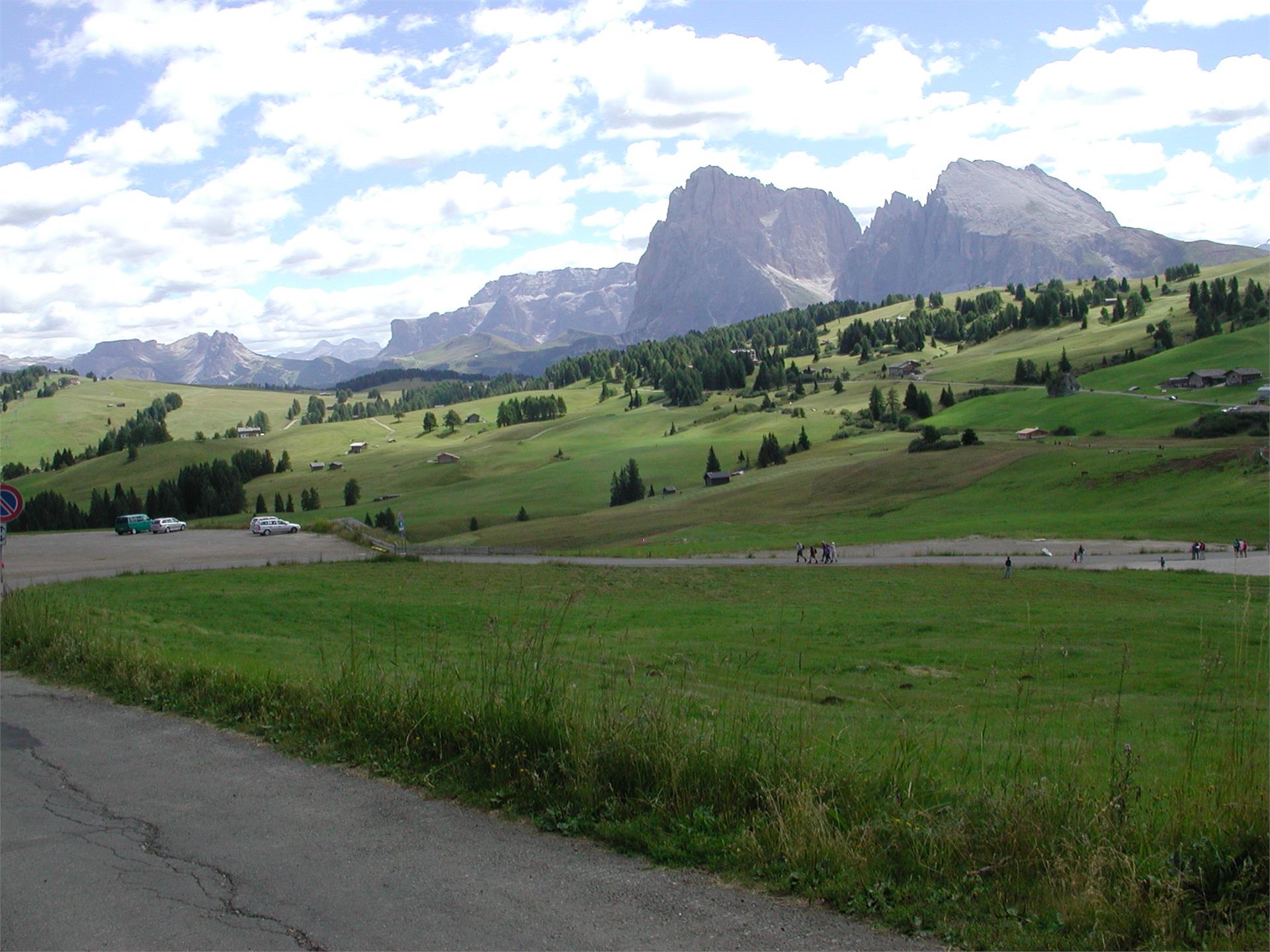 App. Zago Castelrotto 16 suedtirol.info