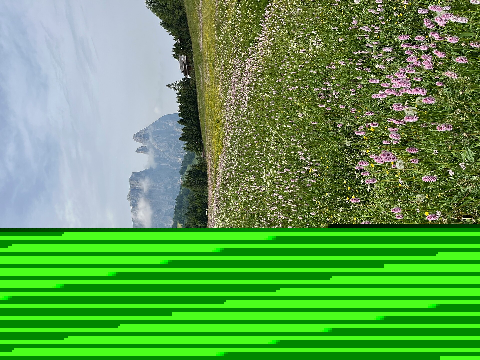 Schlern