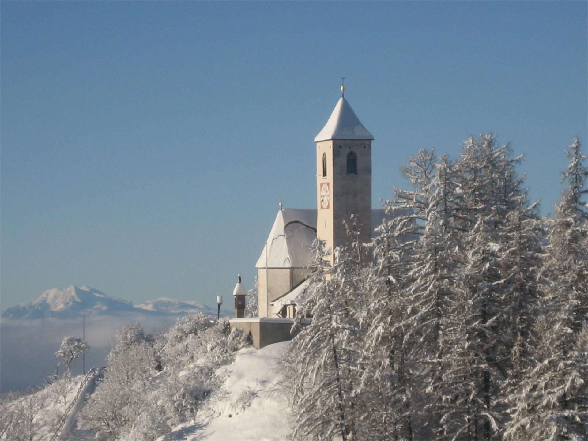 Alberhof Renon 2 suedtirol.info