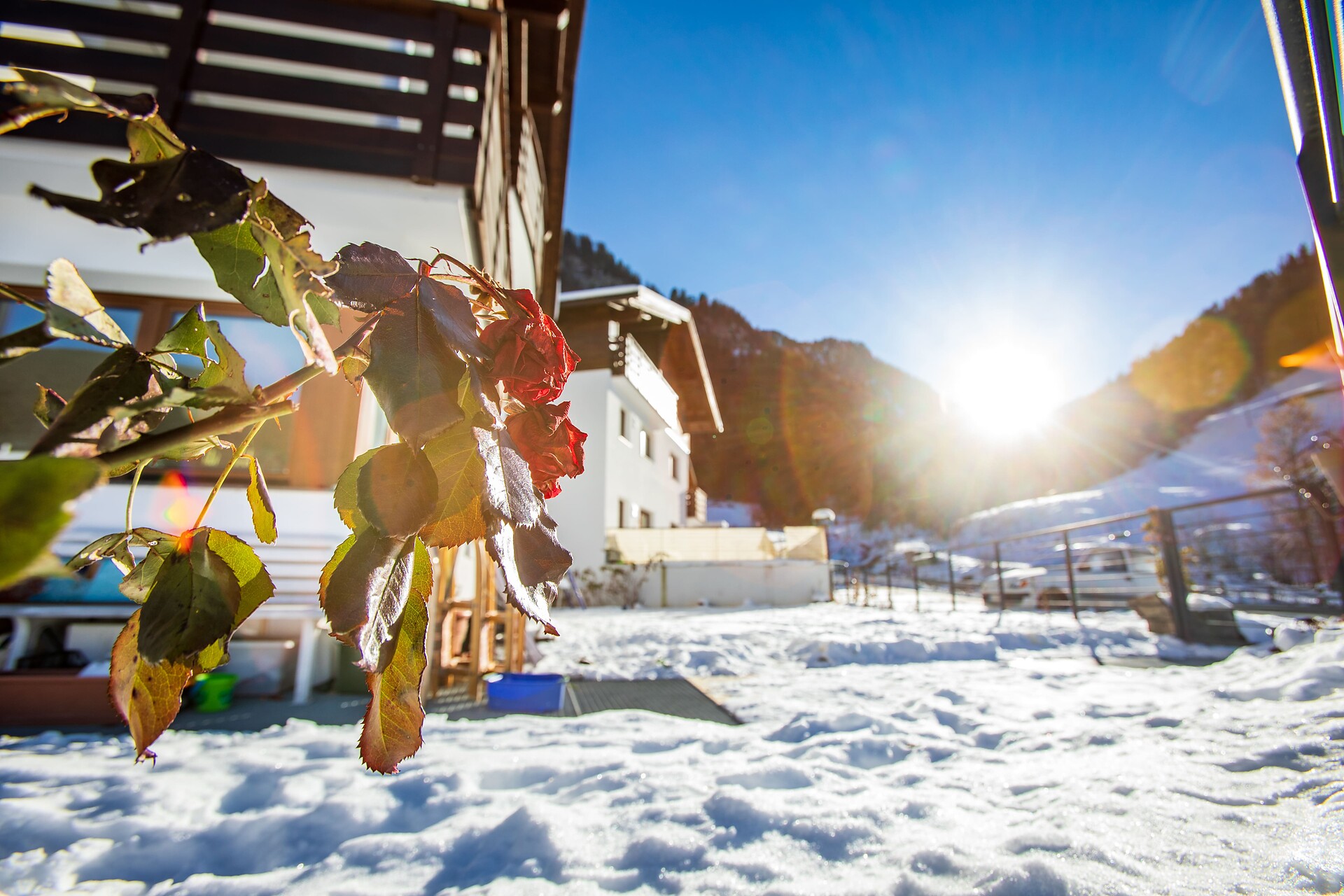 Chalet Carole