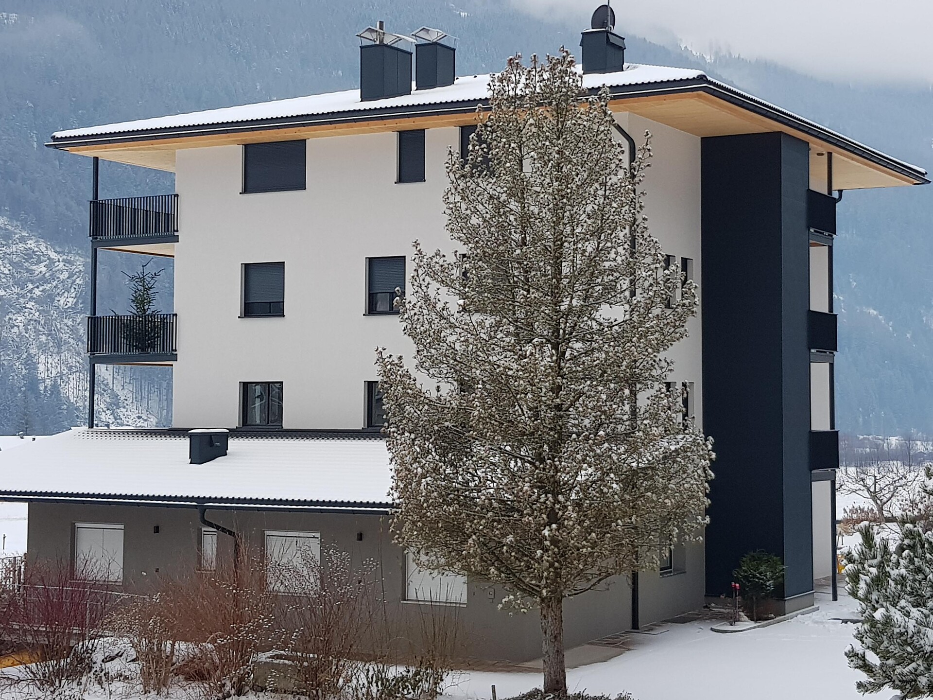 App. Abfalterer Markus