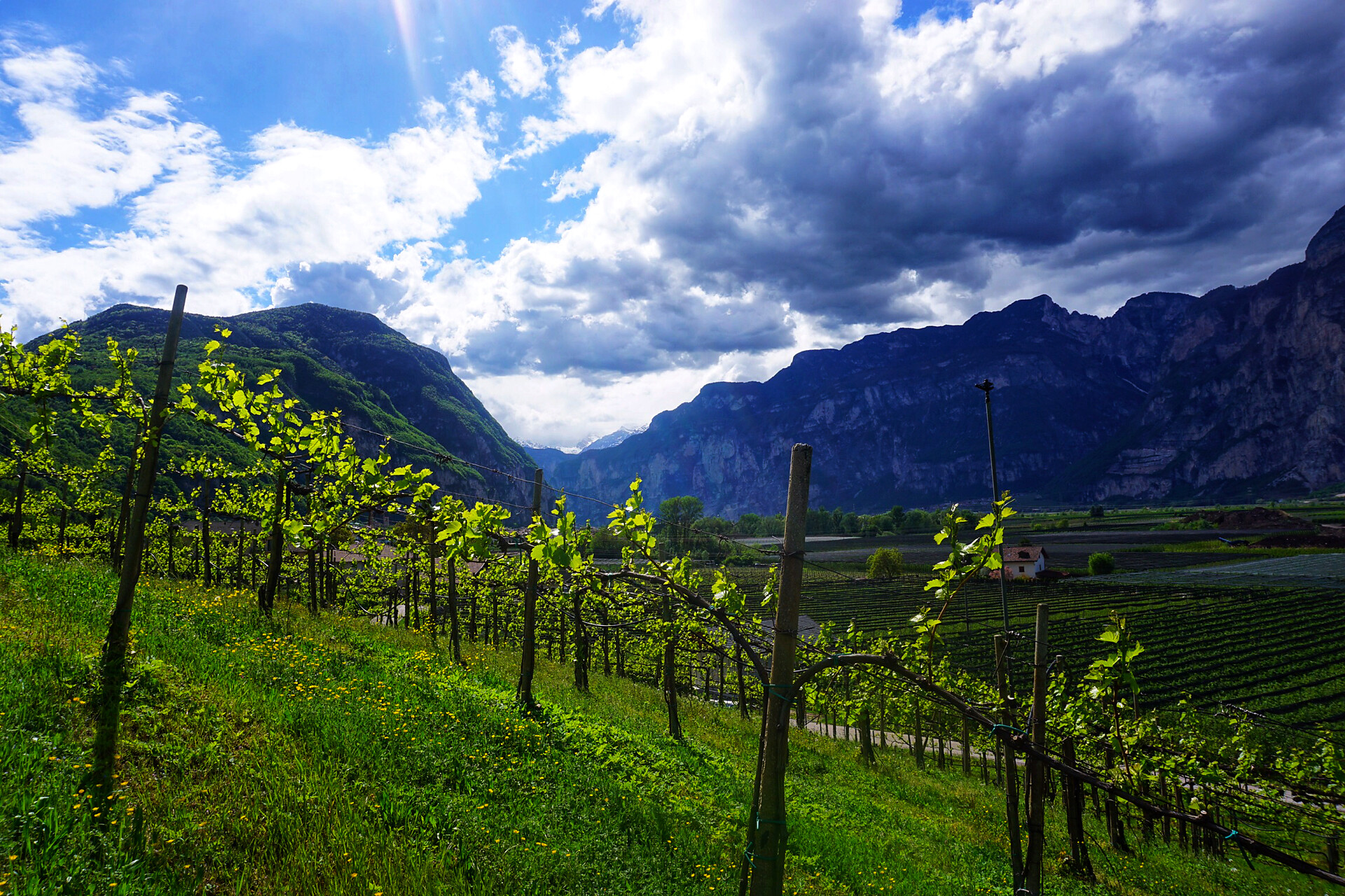 Landschaft