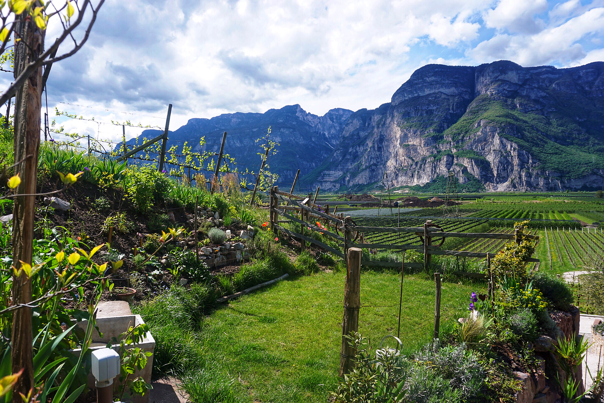 Landschaft