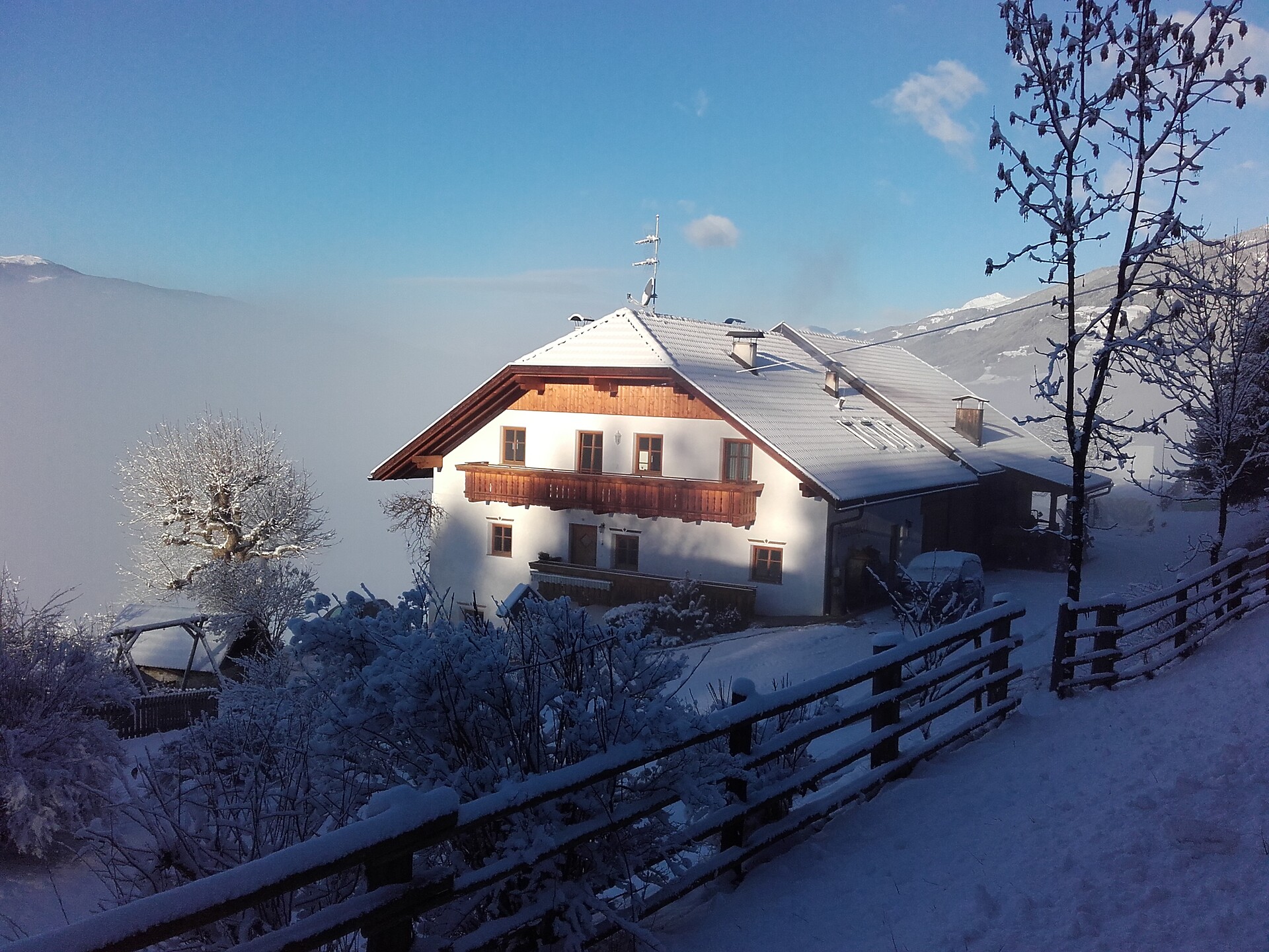 winter